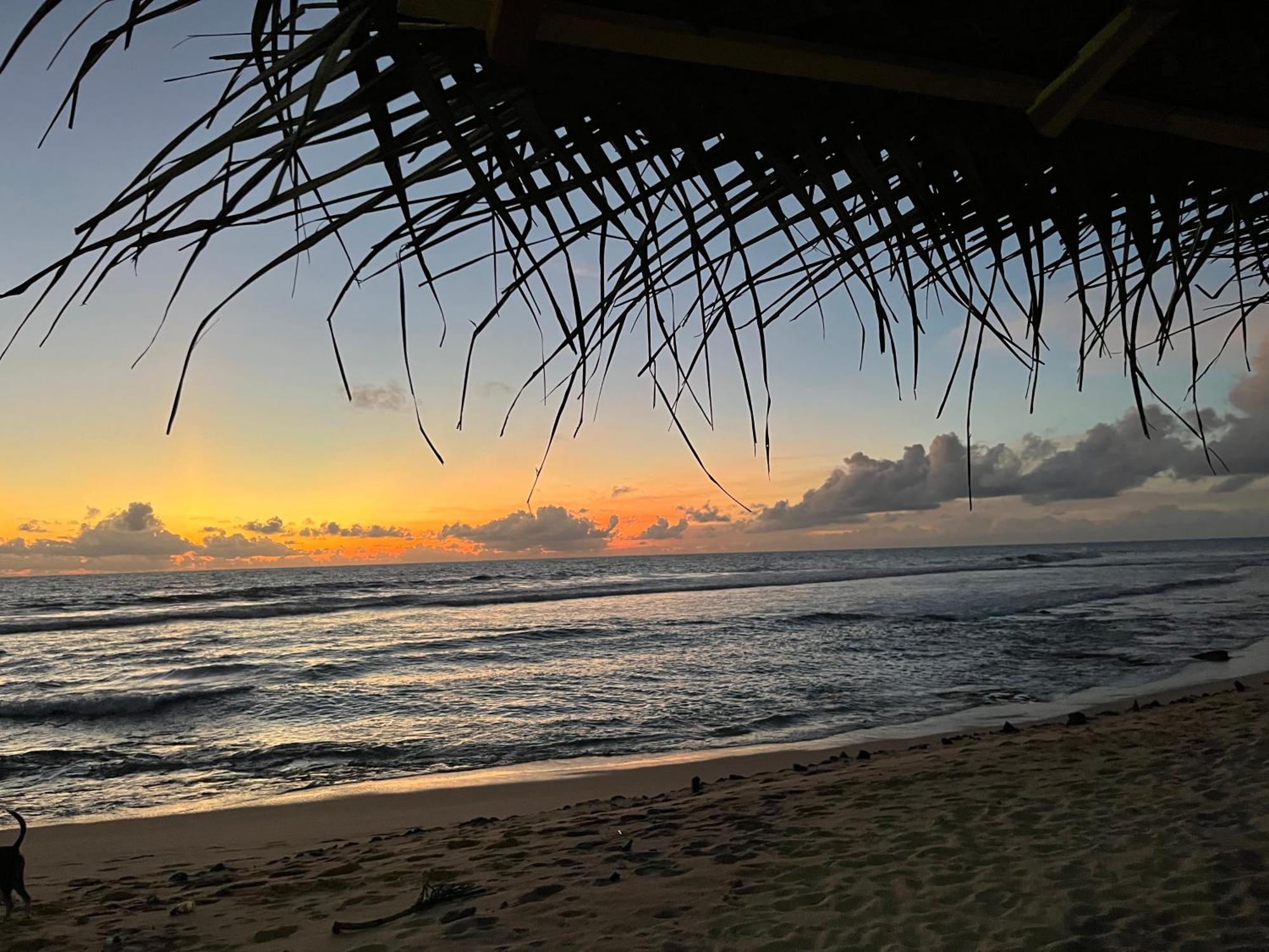 Ocean Reef Hotel Хіккадува Екстер'єр фото